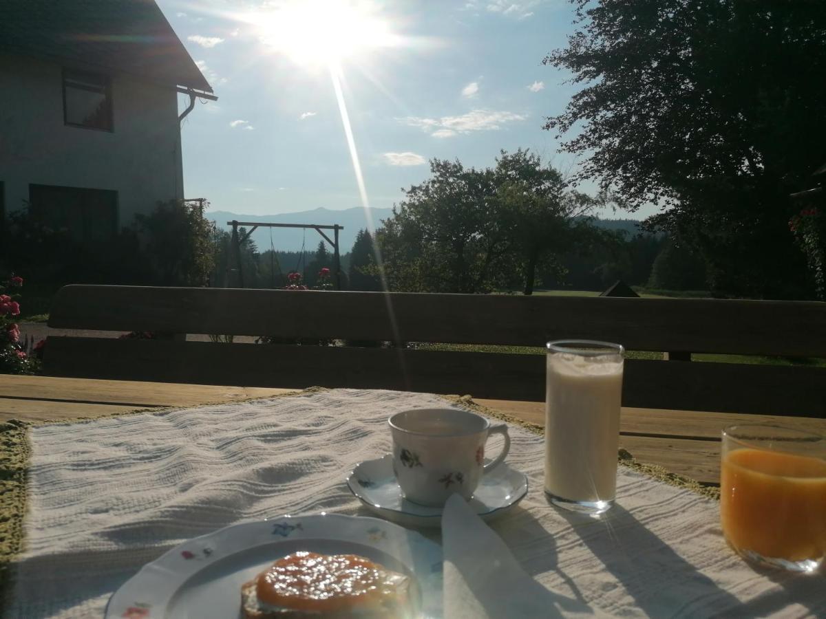Riesenbauer Appartement Zeutschach Buitenkant foto